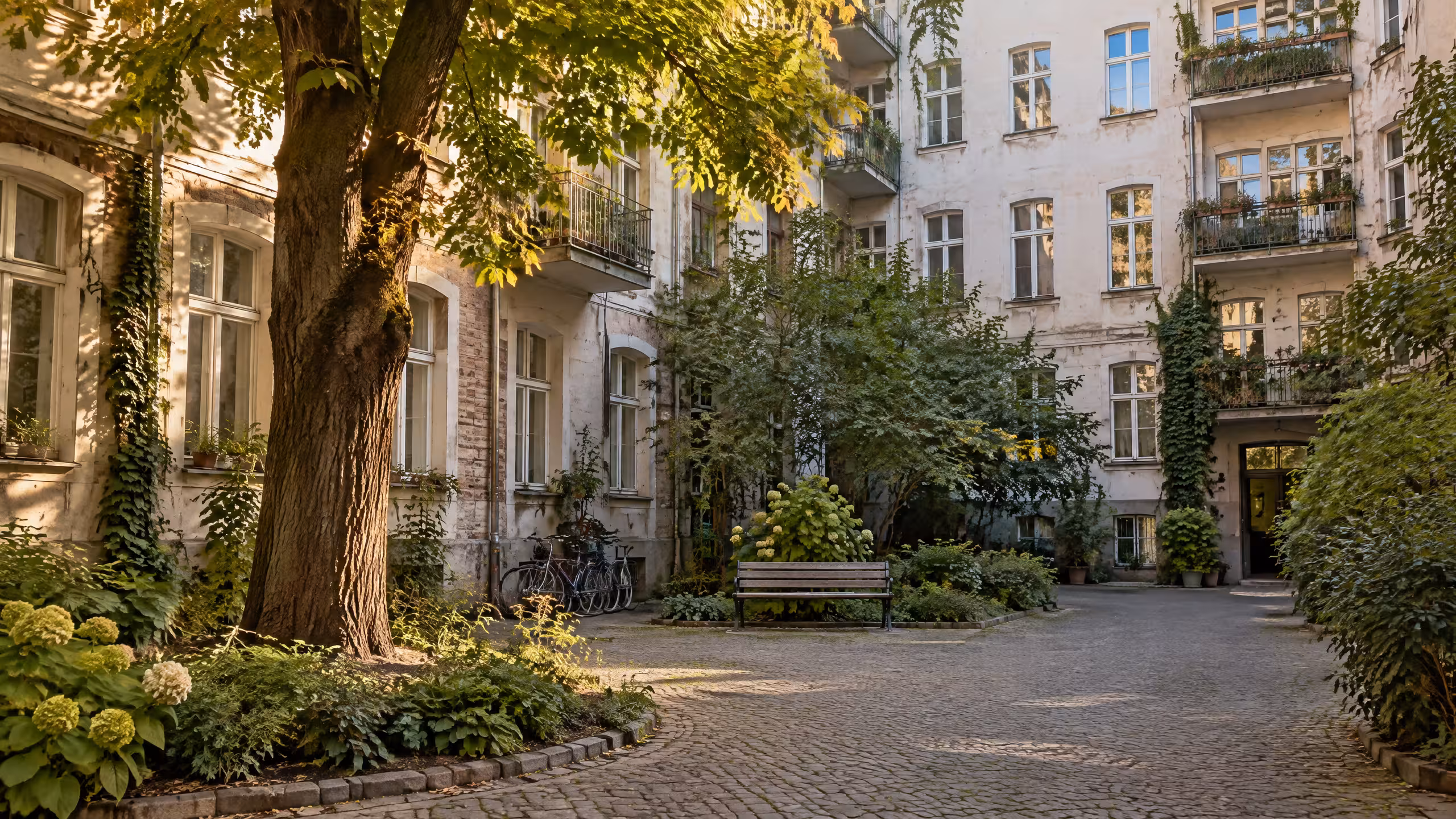 Illustratives Motiv: Ein ruhiger Berliner Hinterhof mit Kastanie, Bank und Fahrrädern vor einer Altbaufassade im Abendlicht.