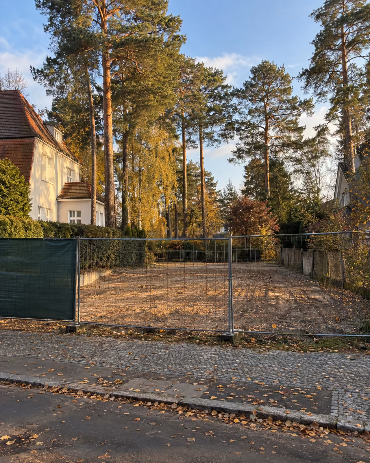 Freigeräumtes Baugrundstück in einer Villenstraße im Berliner Norden im Herbst: Bauzaun mit grüner Plane am Gehweg, hohe Kiefern und gelbe Birken dahinter, links eine ältere Villa.