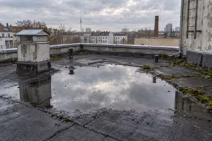 Älteres Flachdach mit dunkler Bitumenbahn und einer großen Pfütze, in der sich der bewölkte Himmel spiegelt; Moos am Dachrand, ein Schornstein und im Hintergrund Berliner Dächer mit dem Fernsehturm.
