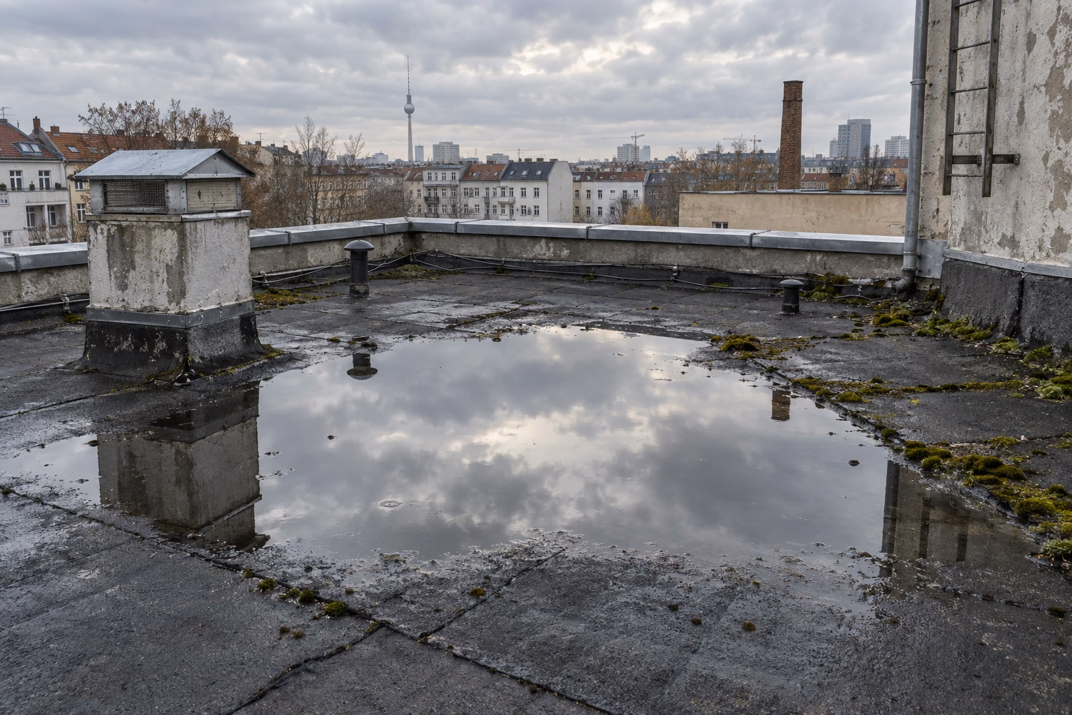 Älteres Flachdach mit dunkler Bitumenbahn und einer großen Pfütze, in der sich der bewölkte Himmel spiegelt; Moos am Dachrand, ein Schornstein und im Hintergrund Berliner Dächer mit dem Fernsehturm.