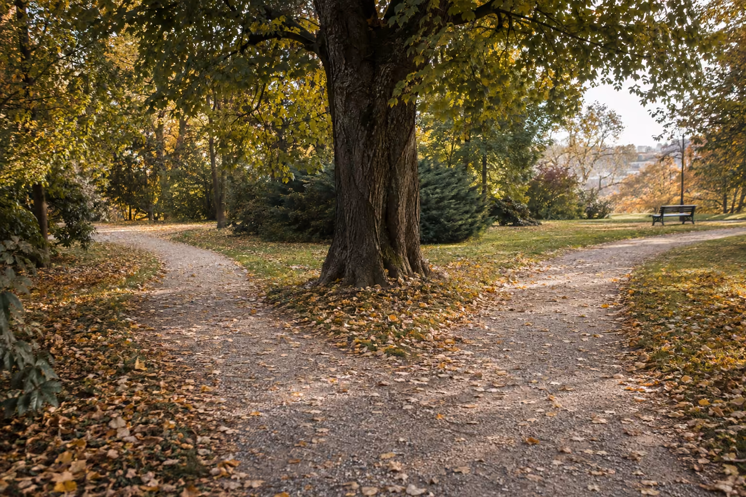 Weggabelung in einem Park: Ein Kiesweg teilt sich vor einer alten Linde in zwei Wege.