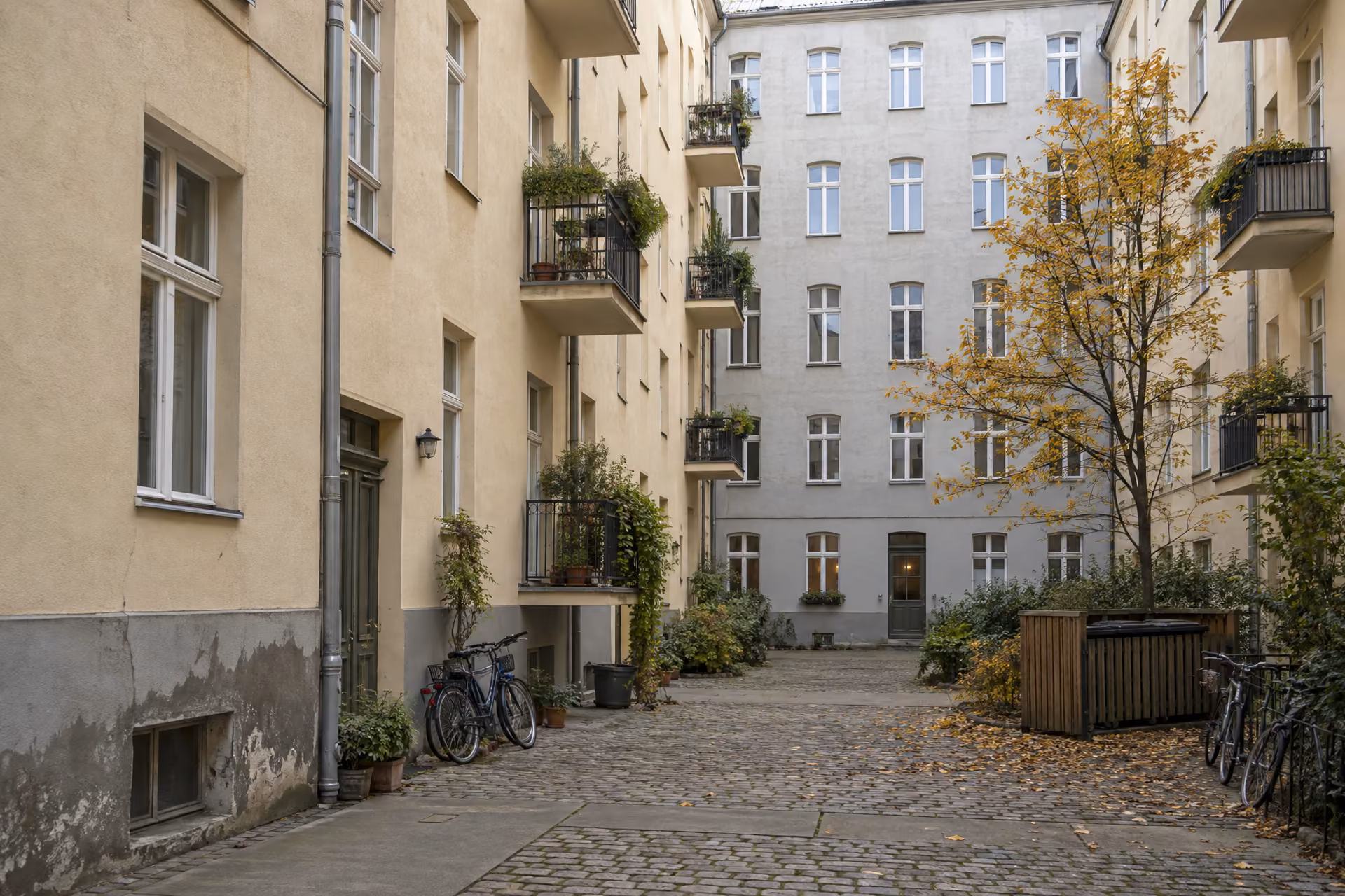 Hinterhof eines Berliner Mietshauses mit Seitenflügel und Quergebäude, kleinen Balkonen, Fahrrädern und einem Baum im Herbstlaub; unten am Sockel ist der Putz feucht und blättert ab.